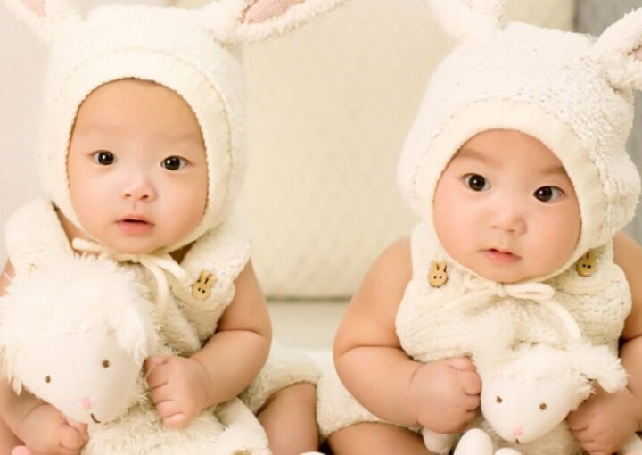 Reclutamiento excepcional de las mejores niñeras para gemelos 9 dos bebés con orejas de conejo y sosteniendo animales de peluche
