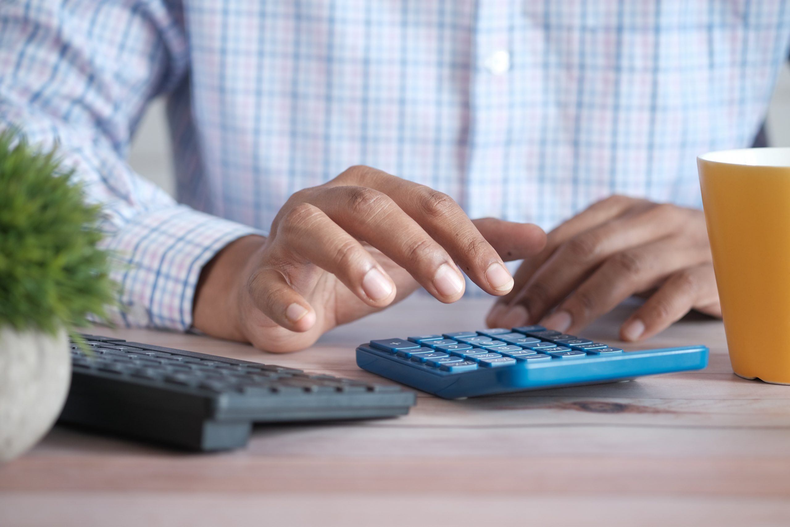 Domestic Staff Tax Calculator